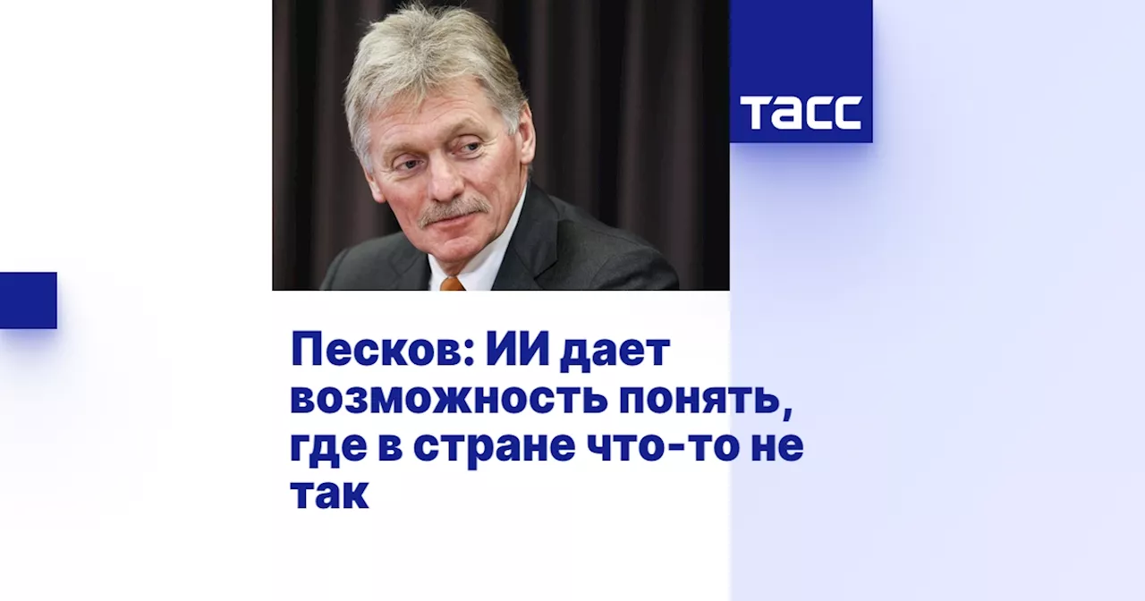 Песков: ИИ дает возможность понять, где в стране что-то не так