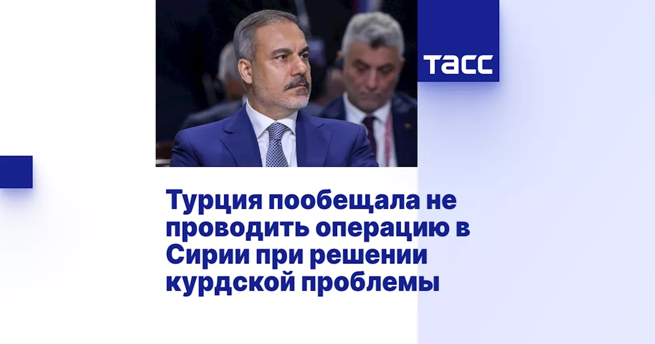 Турция не будет вмешиваться в Сирию, если новая власть установит полный контроль