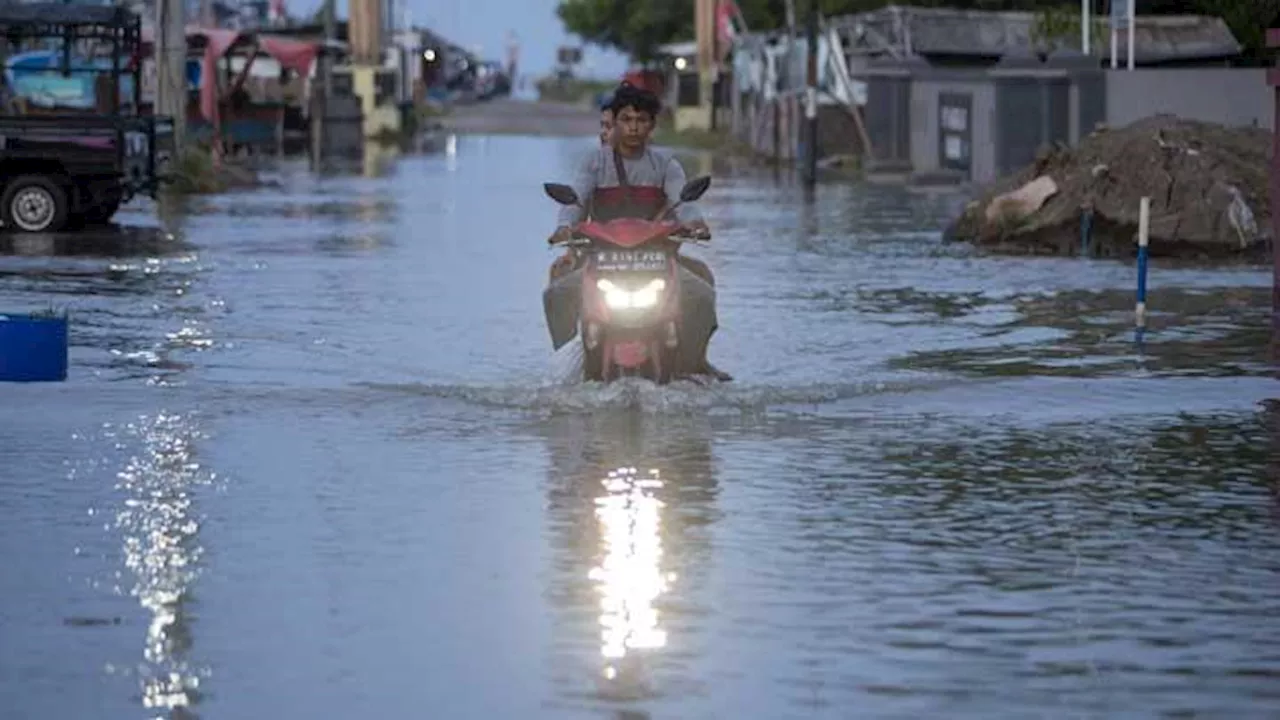 Banjir Rob Menggenangi Indramayu, Ribuan Warga Terdampak