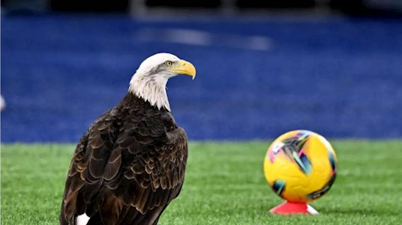 Lazio, recupero stadio Flaminio: progetto eco-sostenibile tra il 2028 e il 2030