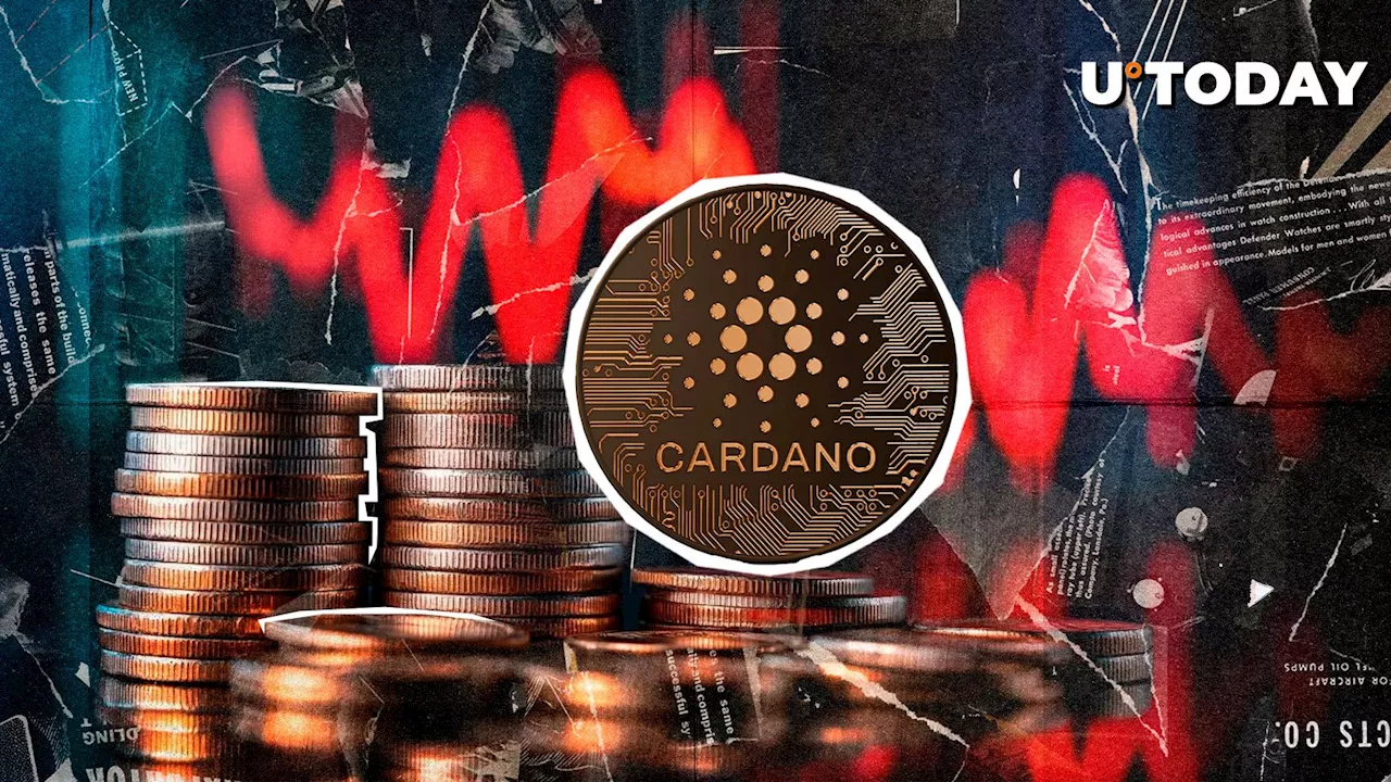 Cardano (ADA) Price Rebounds After Drastic Drop