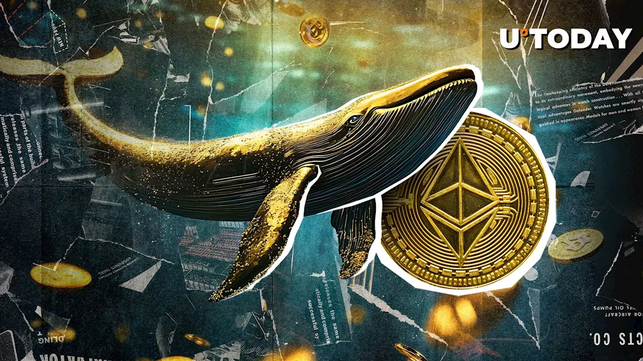 Ethereum Whale Doubles Down Amid Price Dip, Signals Potential for $5,000 Rally