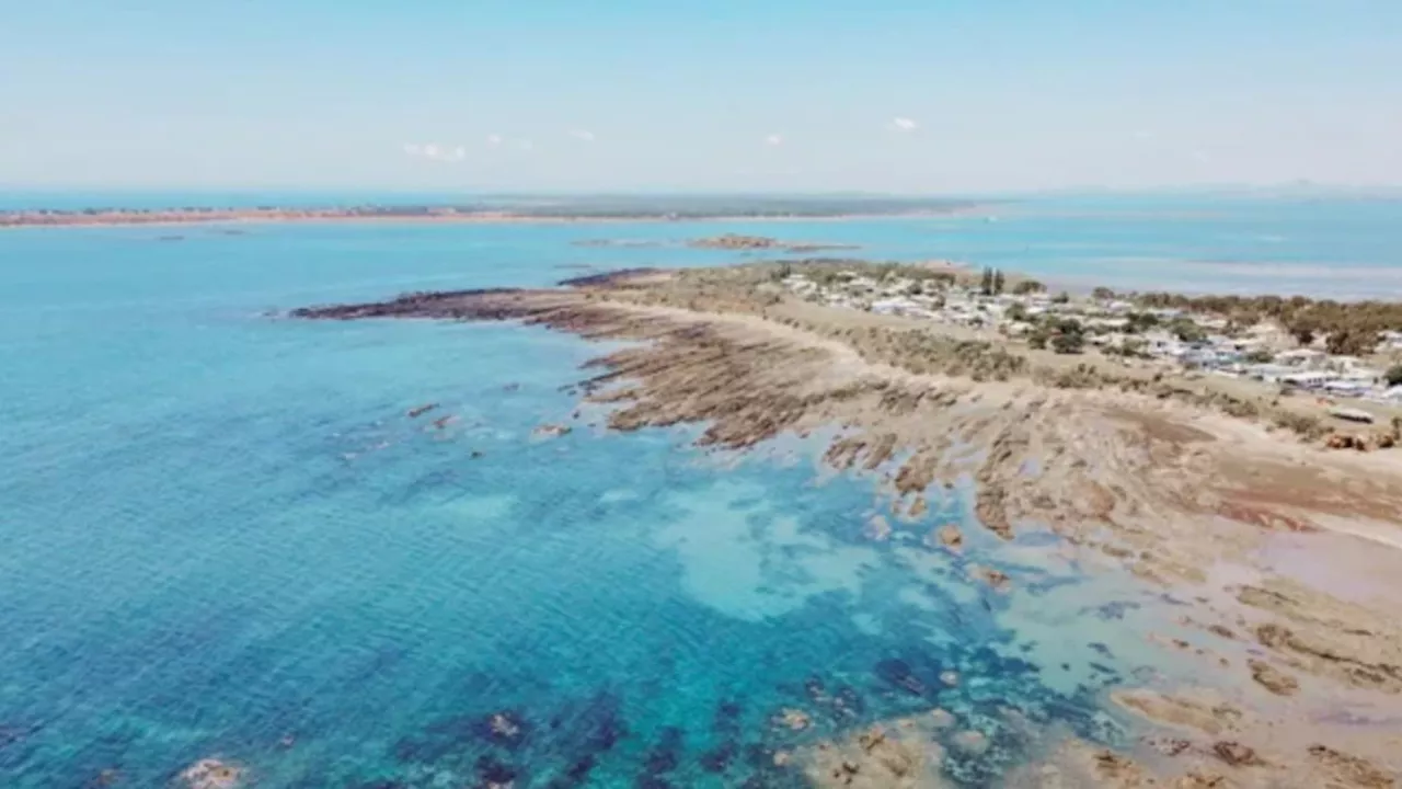 Shark Attack in Queensland Waters Injures Man in His 60s