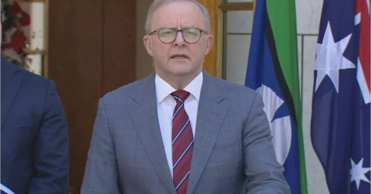 Anthony Albanese promises major reform as government backs bulk of veteran suicide royal commission recommenda