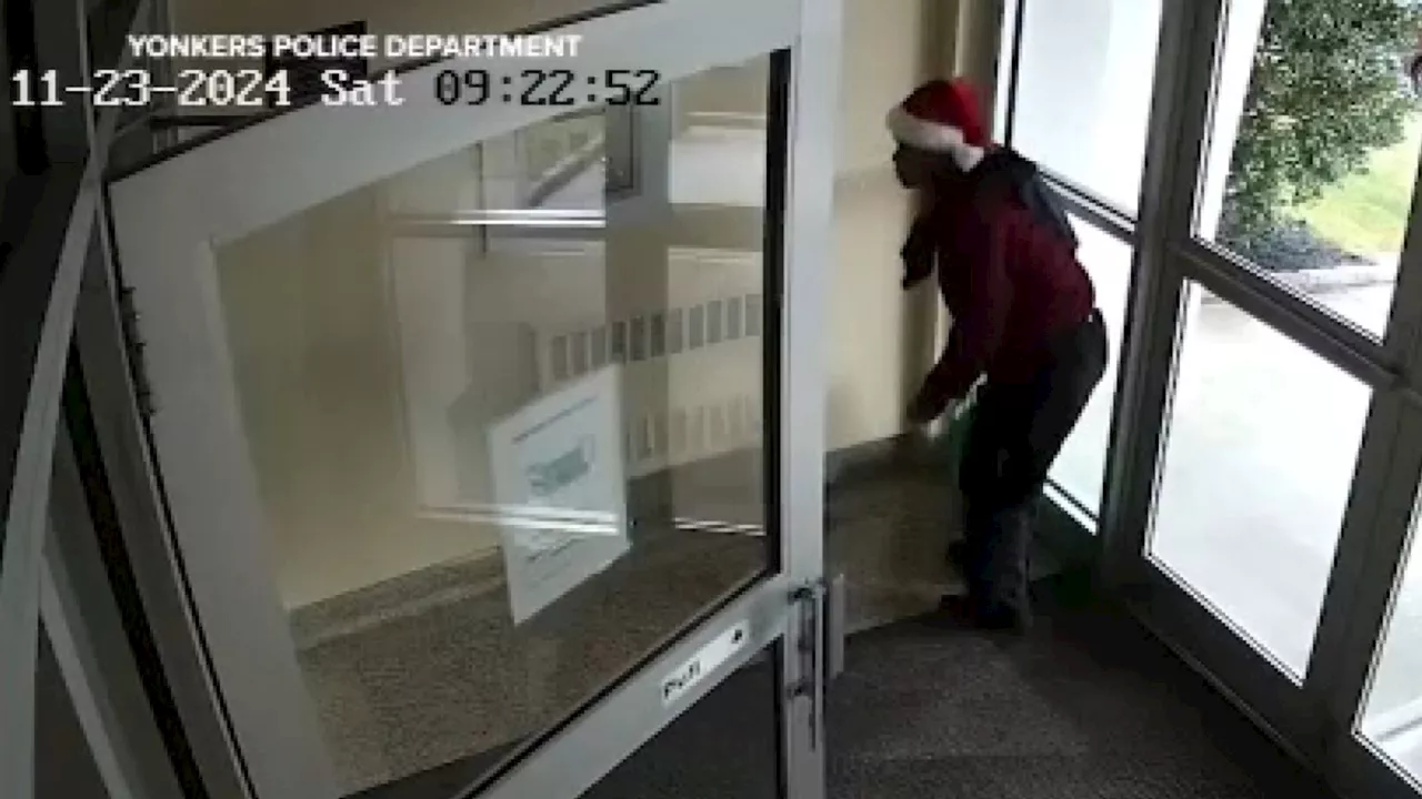 Woman in Santa hat, 2 masked men accused of stealing packages in Yonkers