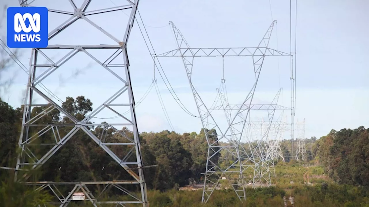 Diesel generators eyed as potential solution to South Australia's electricity supply concerns, as government seeks new switch-on powers