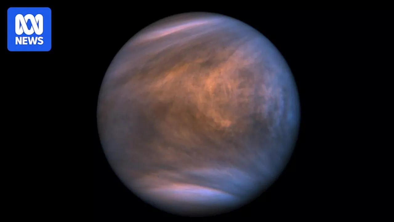 Venus may never have had liquid surface water, study suggests, reigniting habitability debate