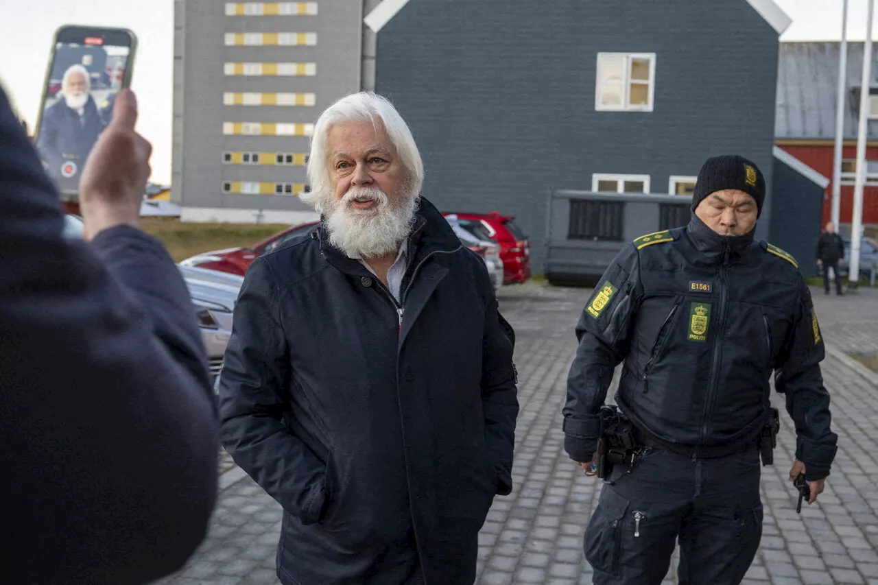 Chasse à la baleine : le militant écologiste Paul Watson reste en prison jusqu'au 18 décembre