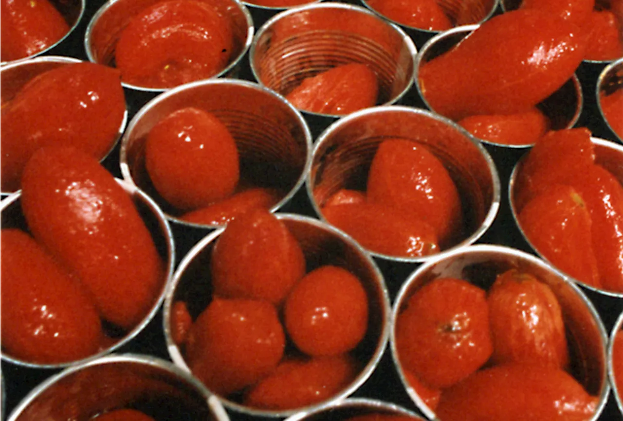 Regno Unito, salse con pomodori cinesi spacciate per italiane