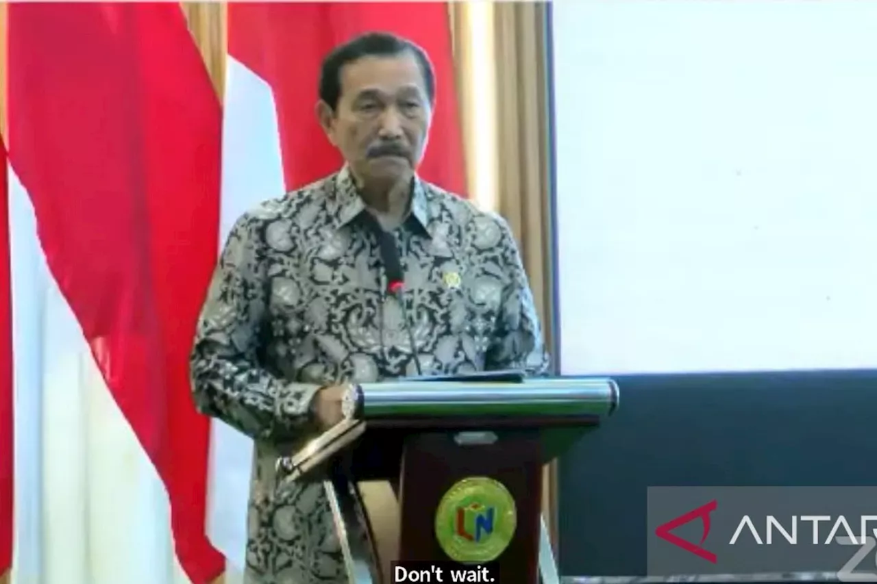 Luhut sebut RI perlu waspadai dampak kebijakan proteksionis Trump