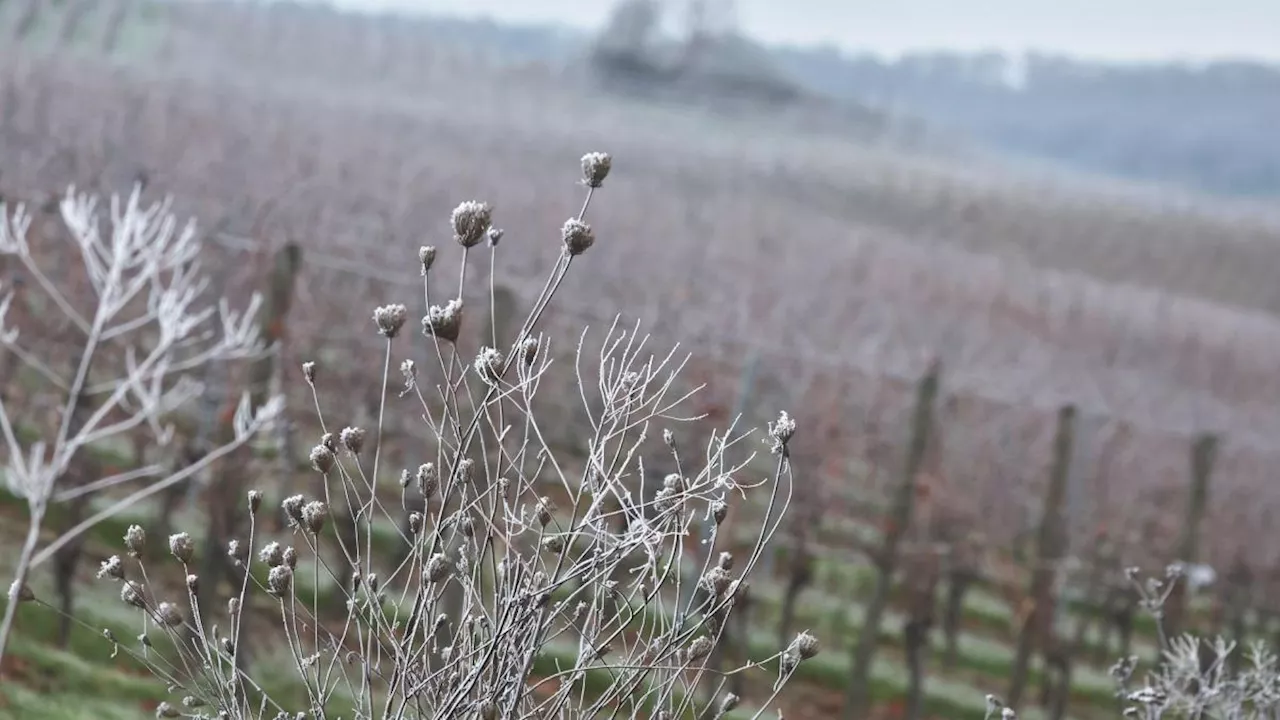 Bayern-Wetter am Montag: Nebel und Frost setzen sich fort - kalte Meeresluft im Anflug