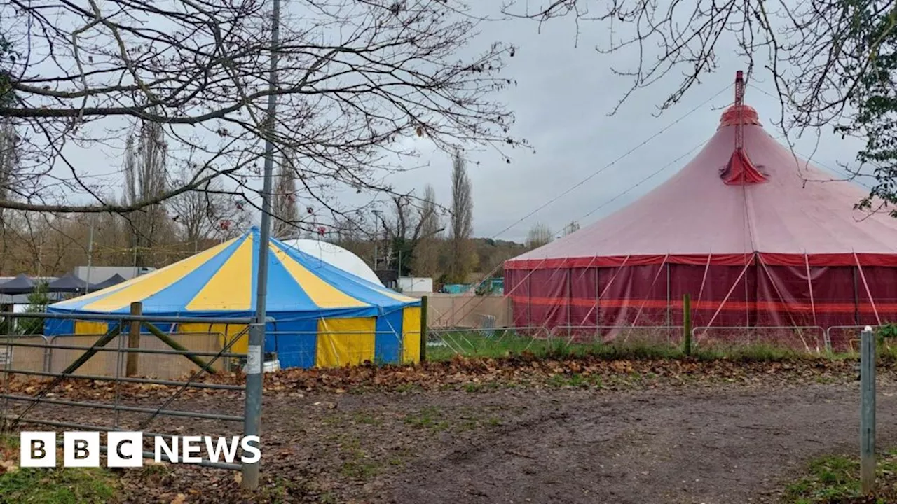 Christmas event in Bury St Edmunds like town's 'Wonka experience'