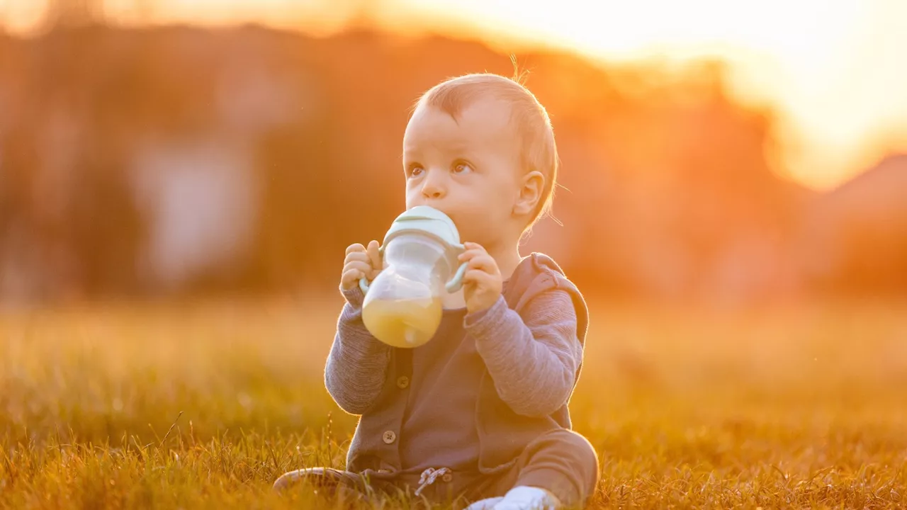 Ce prénom breton est celui que tous les parents s'arracheront en 2025