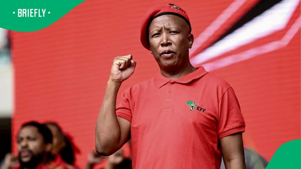 Malema Confident That Former EFF Members Will Beg To Return