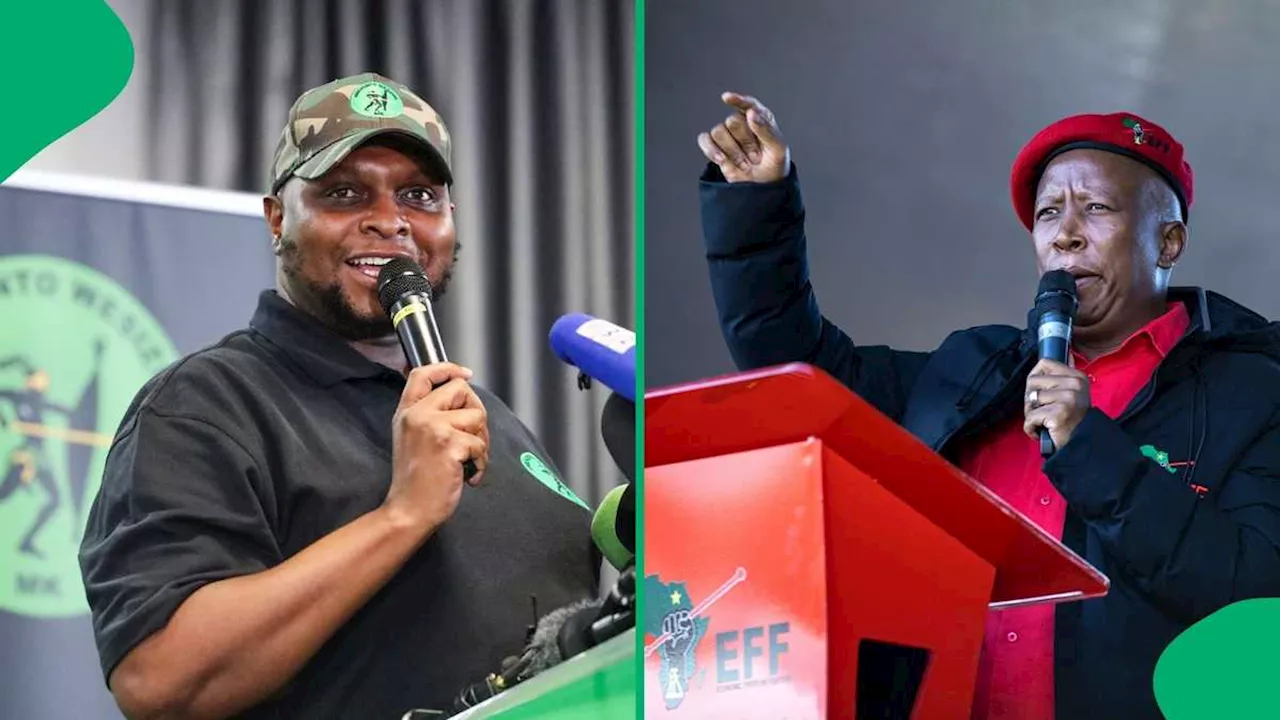 Shivambu Defends MK Party As Malema's Statements Spark Controversy