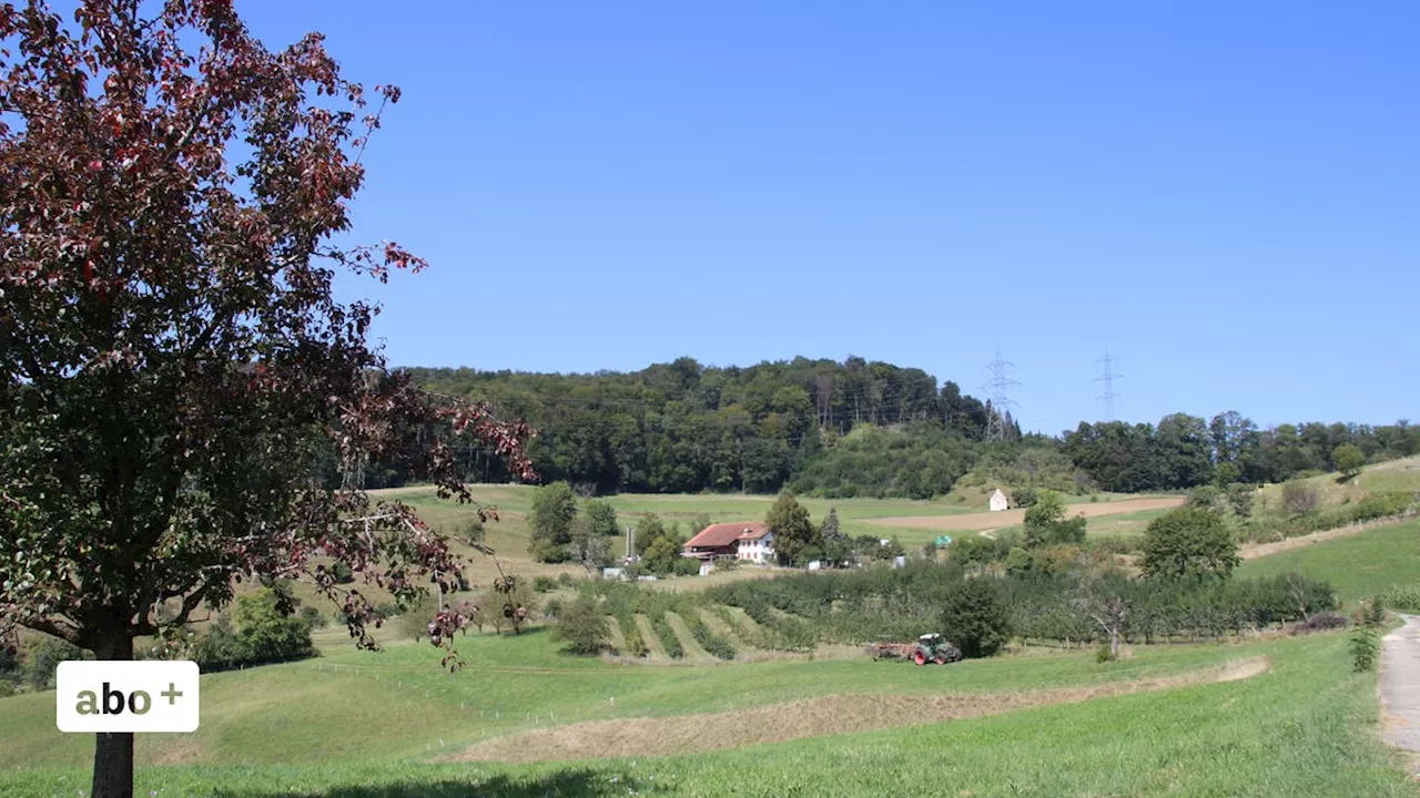 Entscheidende Phase für den Naturpark: Dé­jà-vu in Diegten – Super Tuesday in Sissach und Tenniken