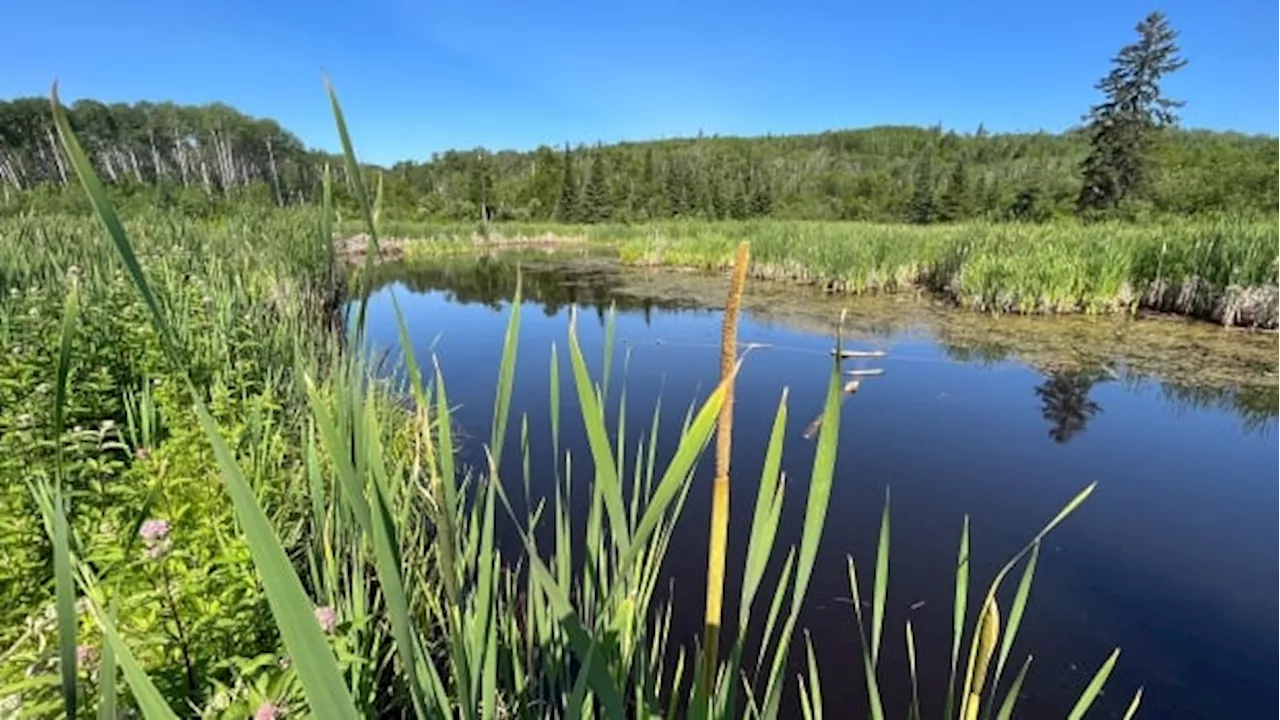 Nature Conservancy of Canada Protects 935 Hectares of Ontario Land