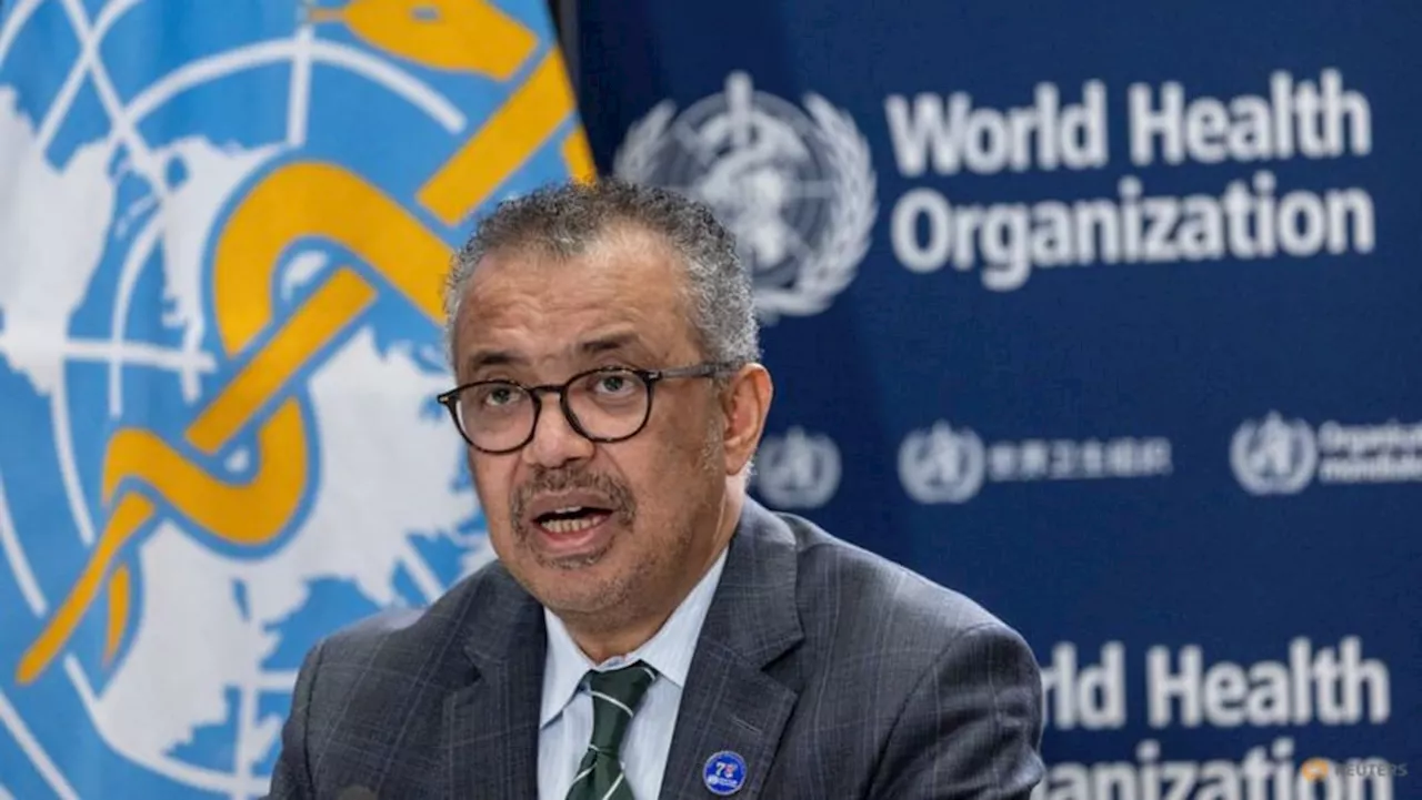 'End in sight' to talks on pandemic treaty, says WHO chief