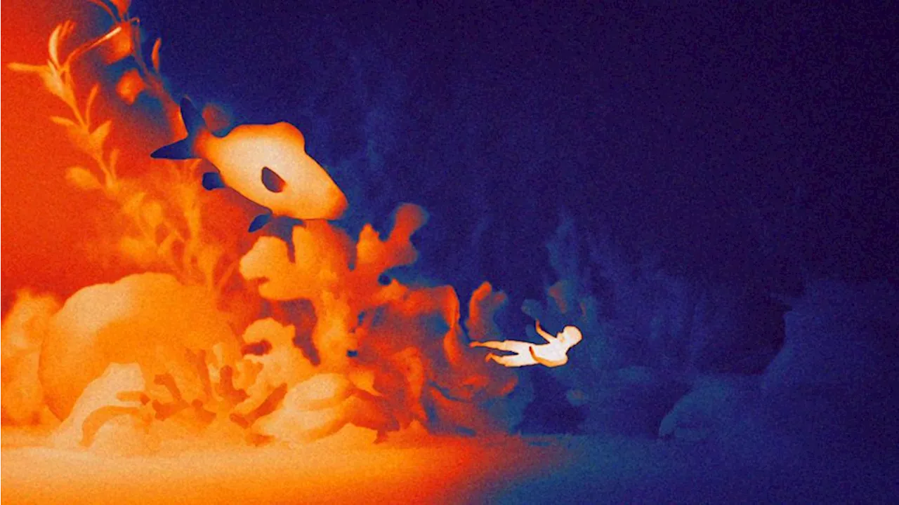 Nomint's 'In Hot Water': Innovative Heat-Art Animation Highlights Climate Catastrophe