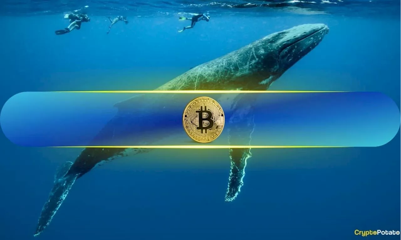 BTC Price Tumbles Below Important Support Level: Are Whales Realizing Profits?