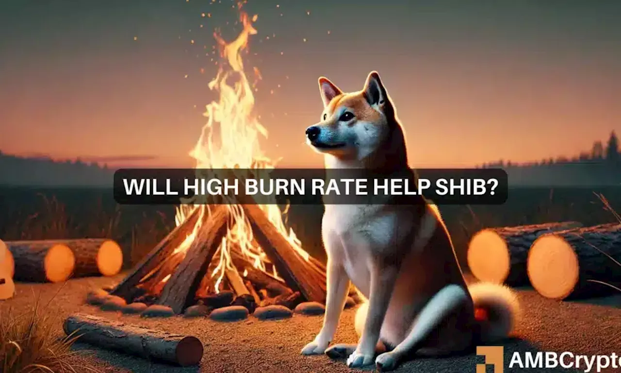 SHIB Token's Burn Rate Surges Over 7400%, Proving Deflationary Potential