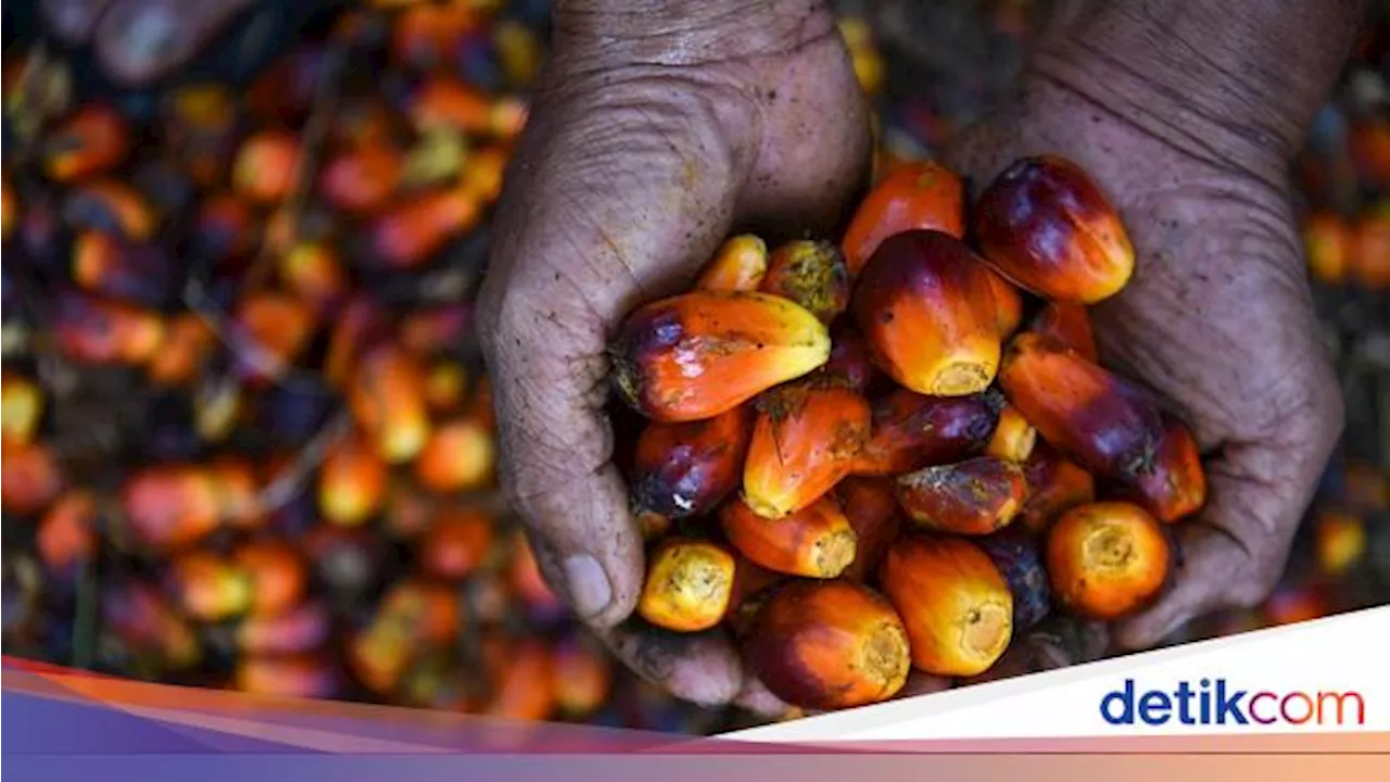 Produk Tekstil-Kelapa Sawit RI Bakal Bebas Tarif Bea Masuk ke Kanada