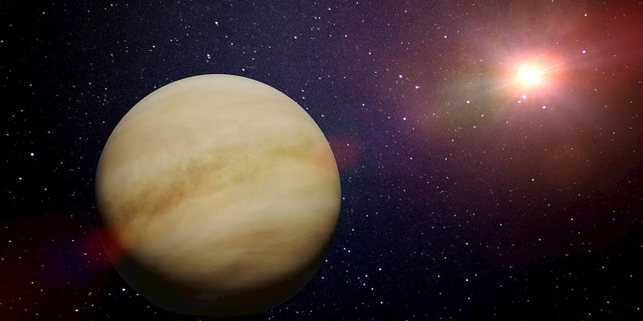 Venus hat nie Ozeane auf der Oberfläche besessen