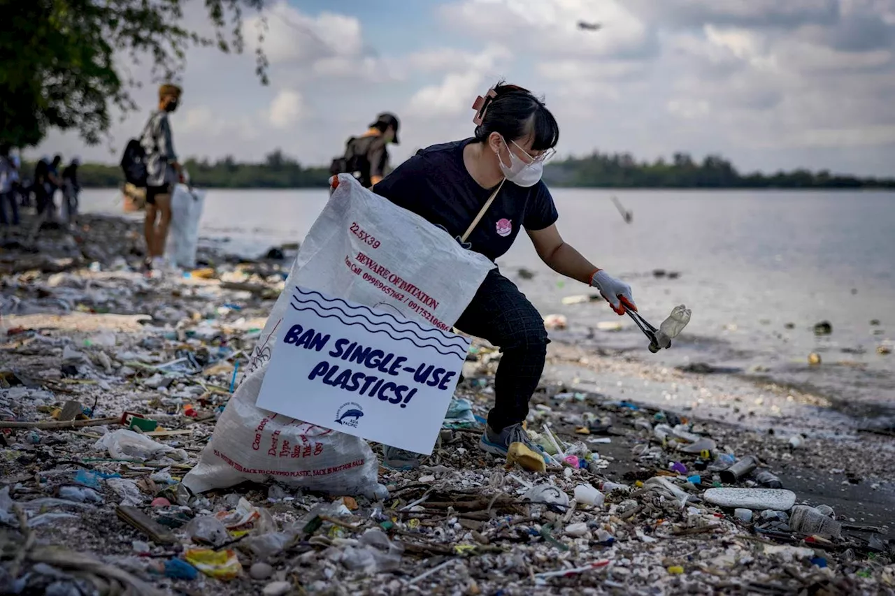 Freedom Island Mangroves to Mark Coastal Clean-up Day Amidst Global Plastic Pollution Concerns