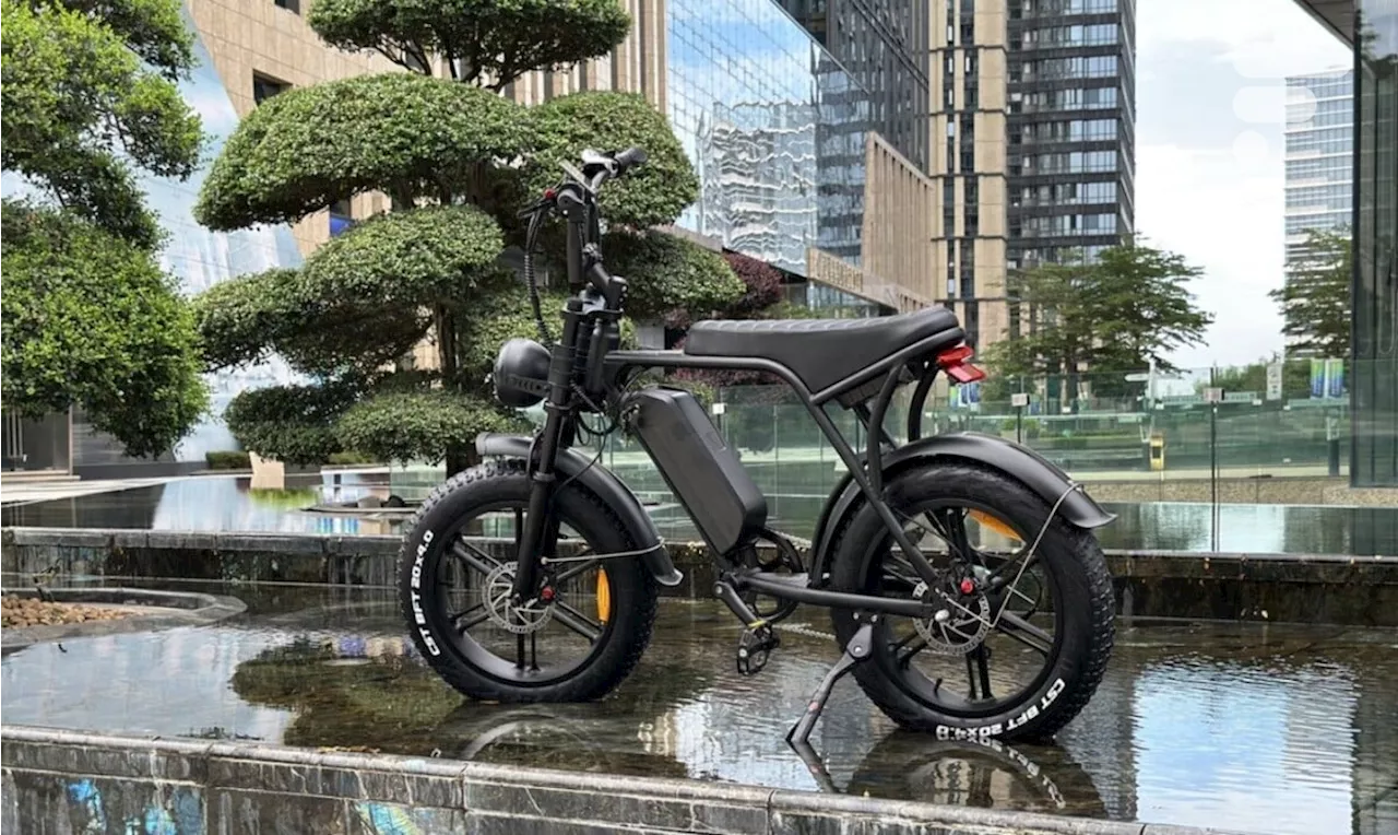 Ces chiffres montrent à quel point les fatbikes électriques illégaux ont séduit les Néerlandais