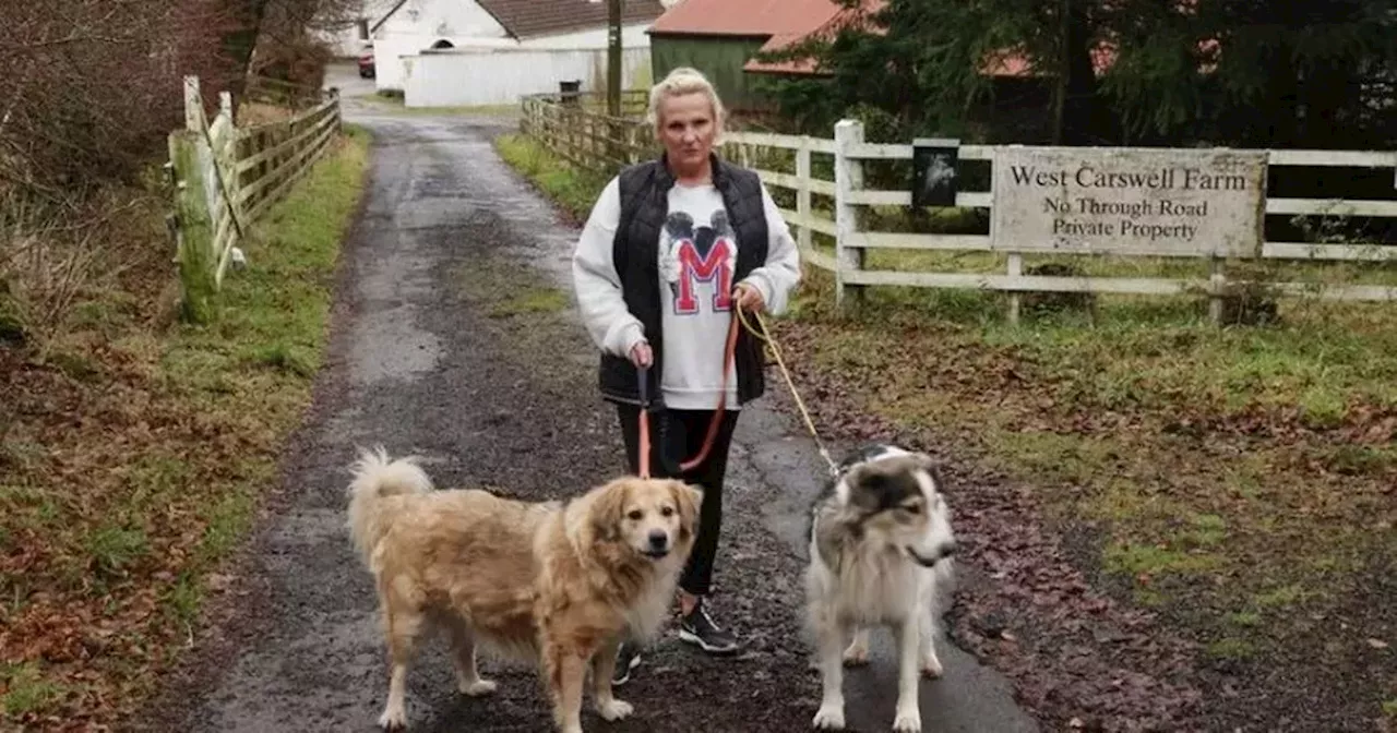 Rural Homeowner Devastated by Nearby Quarry Works, Claims Water Supply and Animal Safety Threatened