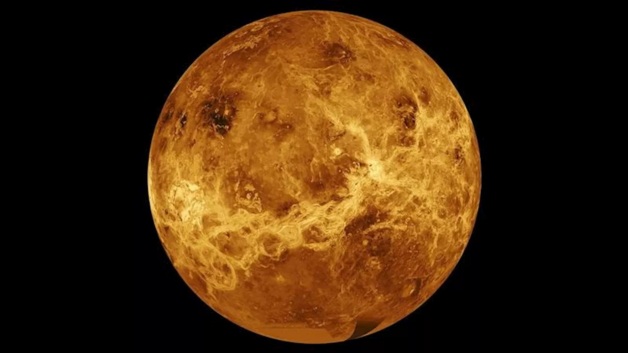 Did Venus ever have oceans? Scientists have an answer.