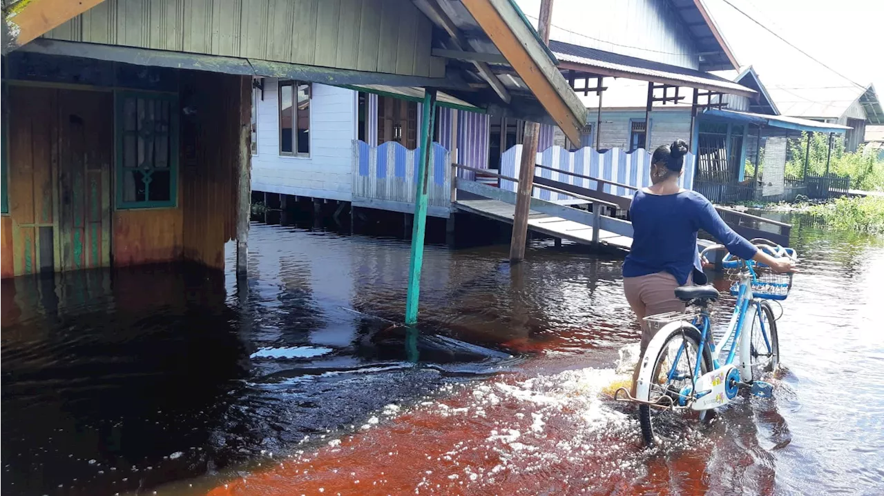 Puluhan Ribu Orang Terdampak Banjir di Palangka Raya, Deforestasi Jadi Pemicu