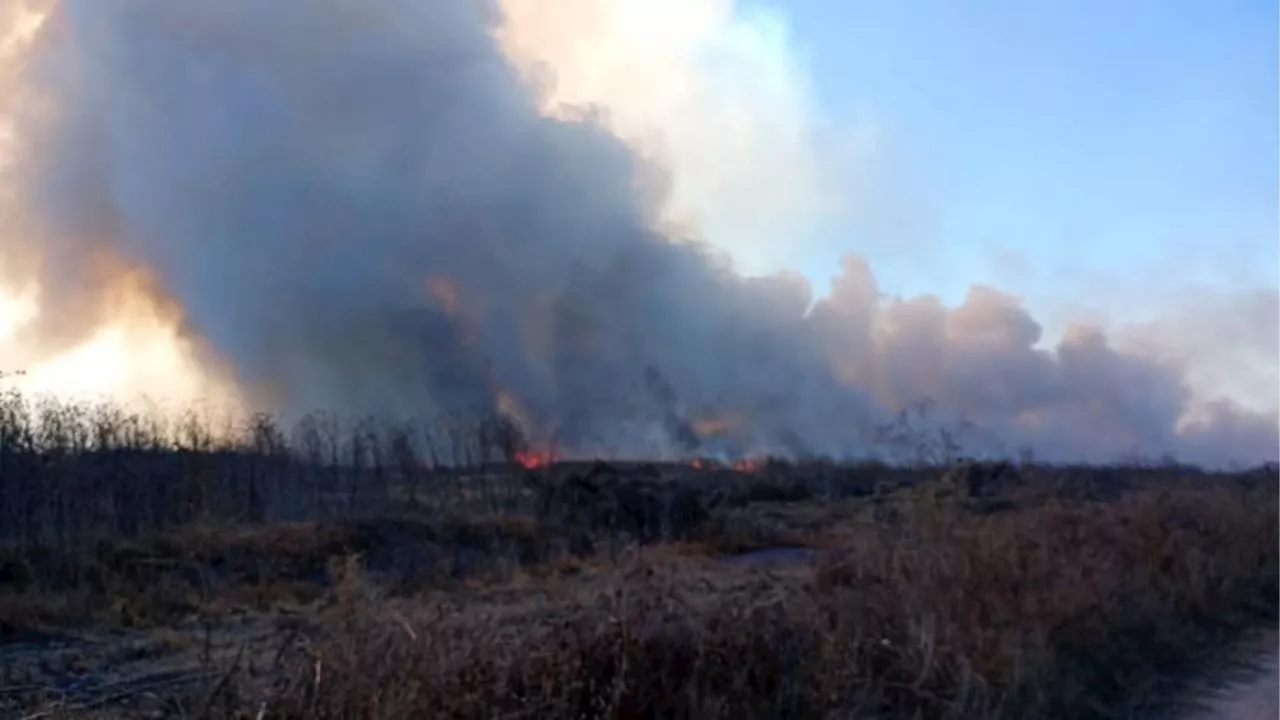 Incendio de pastizales en Parque Estatal Sierra Hermosa