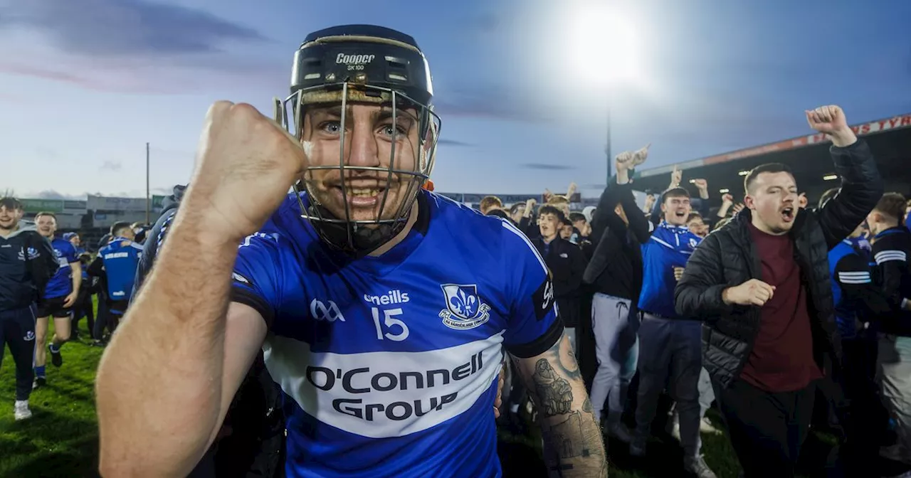 Sarsfields' Shane O'Regan Clinches Stunning Win Over Ballygunner