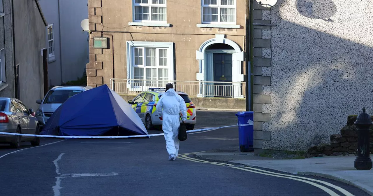 School comforting pupils following fatal stabbing of girl, 8, in Wexford