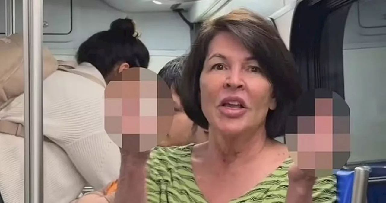 United Airlines 'racist passenger caught on camera harassing fellow travellers'