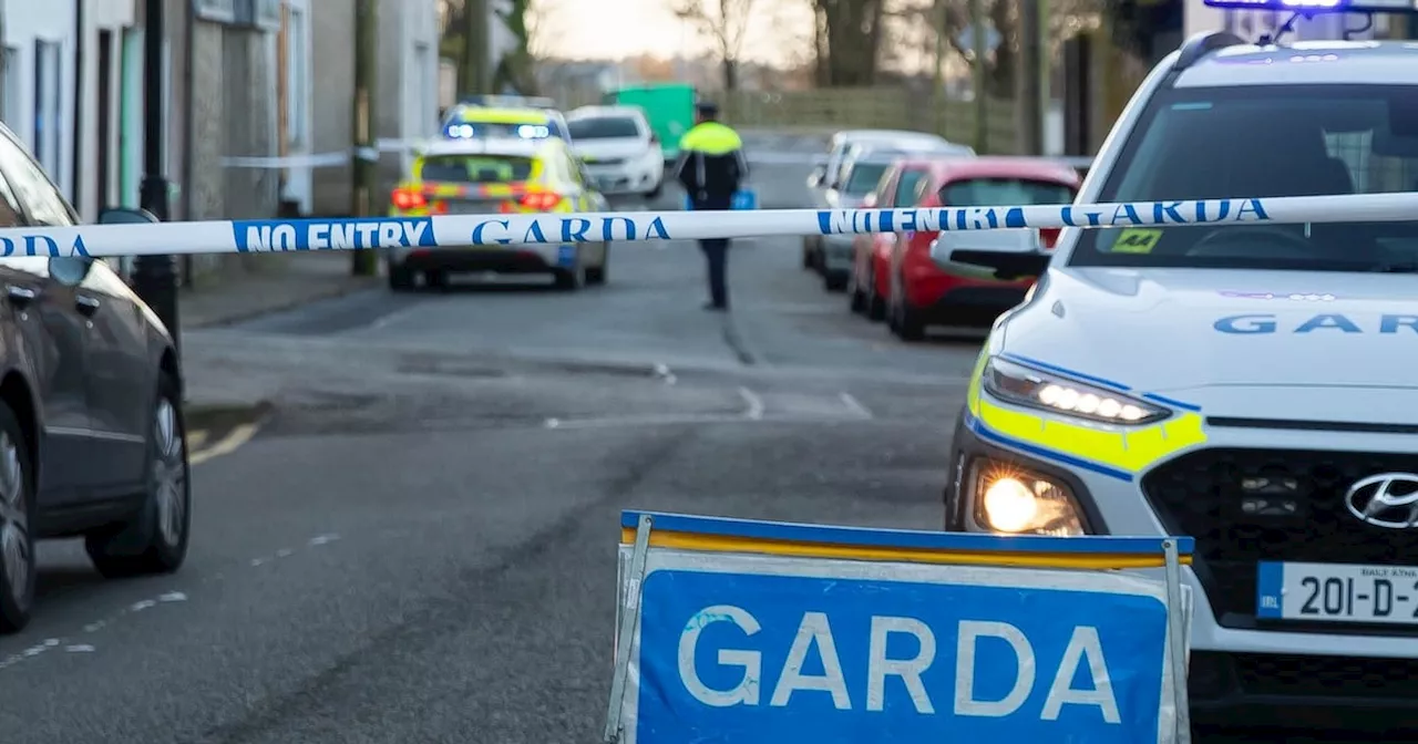 Girl (8) dies following assault at house in New Ross, Co Wexford