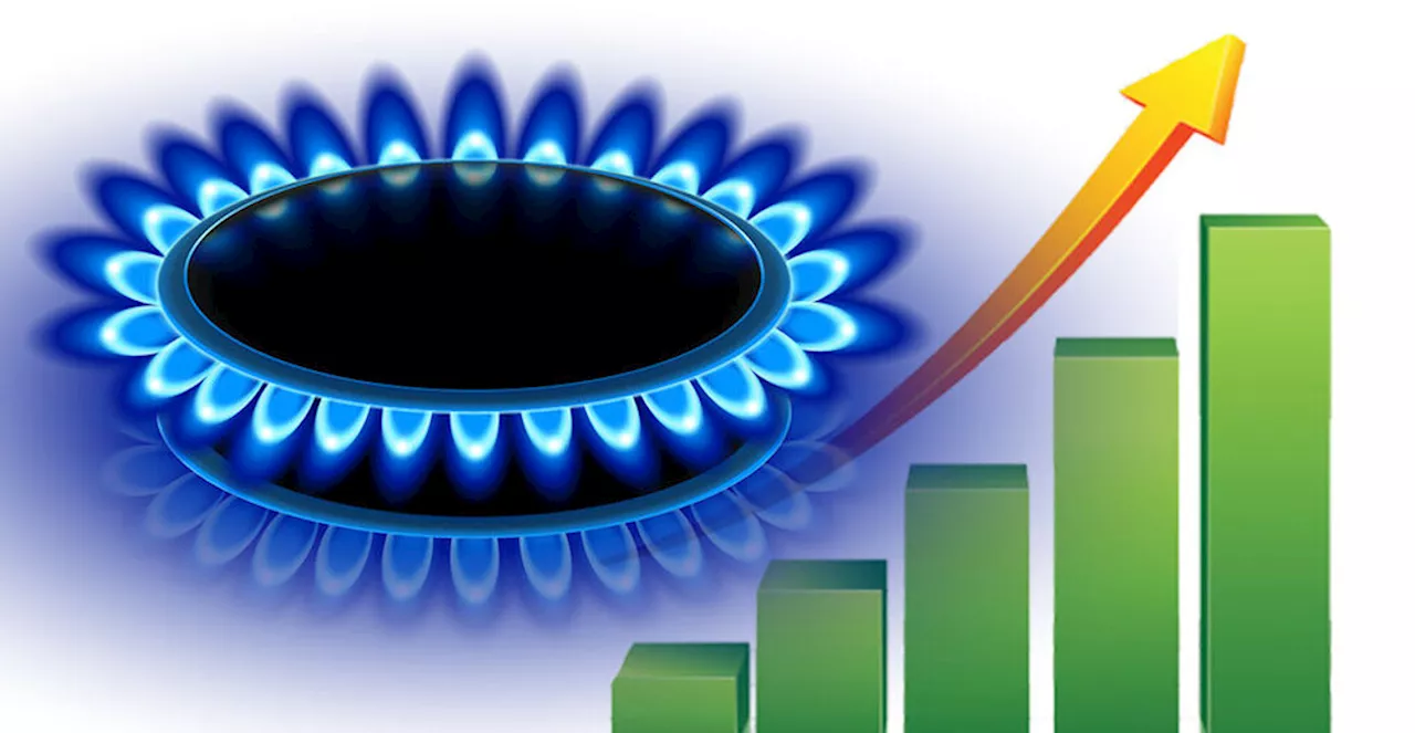 Gaz Mefulü Türkiye'de Artıyor ve 600 Milyon Metre Küpü Aştı