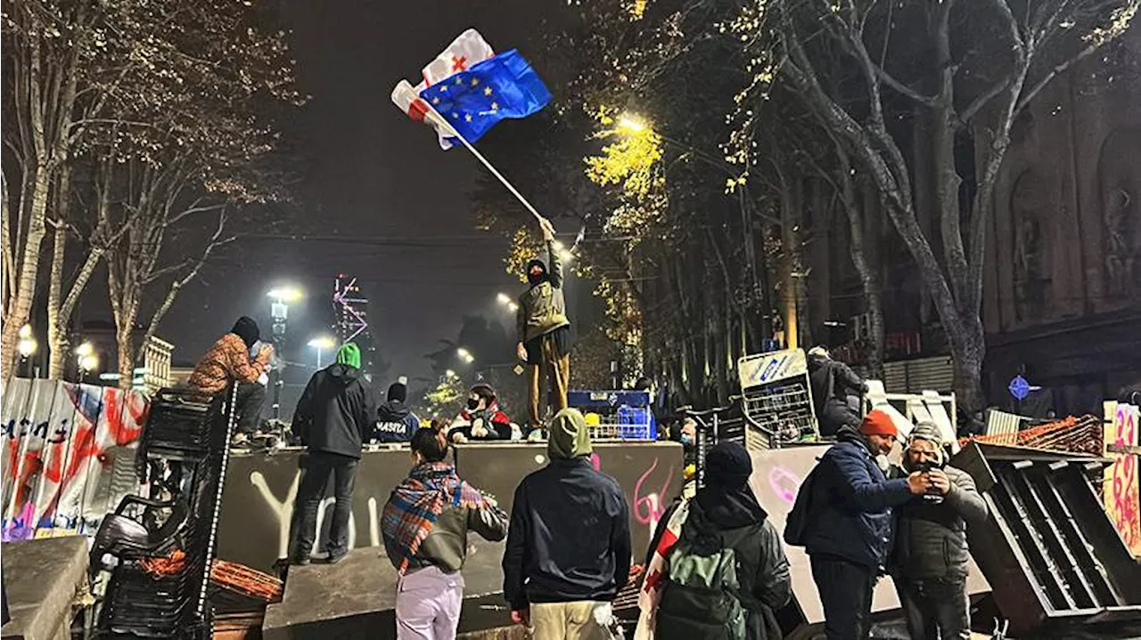 В Тбилиси во время протестов задержали одного из лидеров оппозиции Джапаридзе