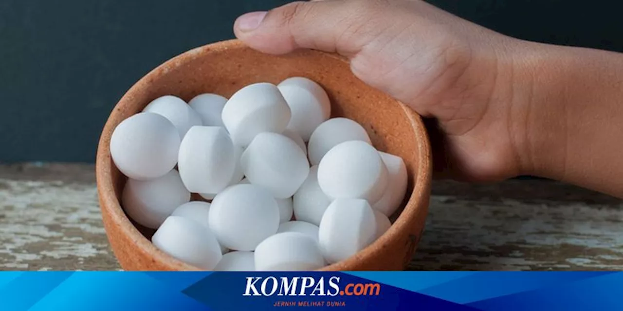 Kapur Barus Sebagai Insektisida dan Cara Menggunakannya