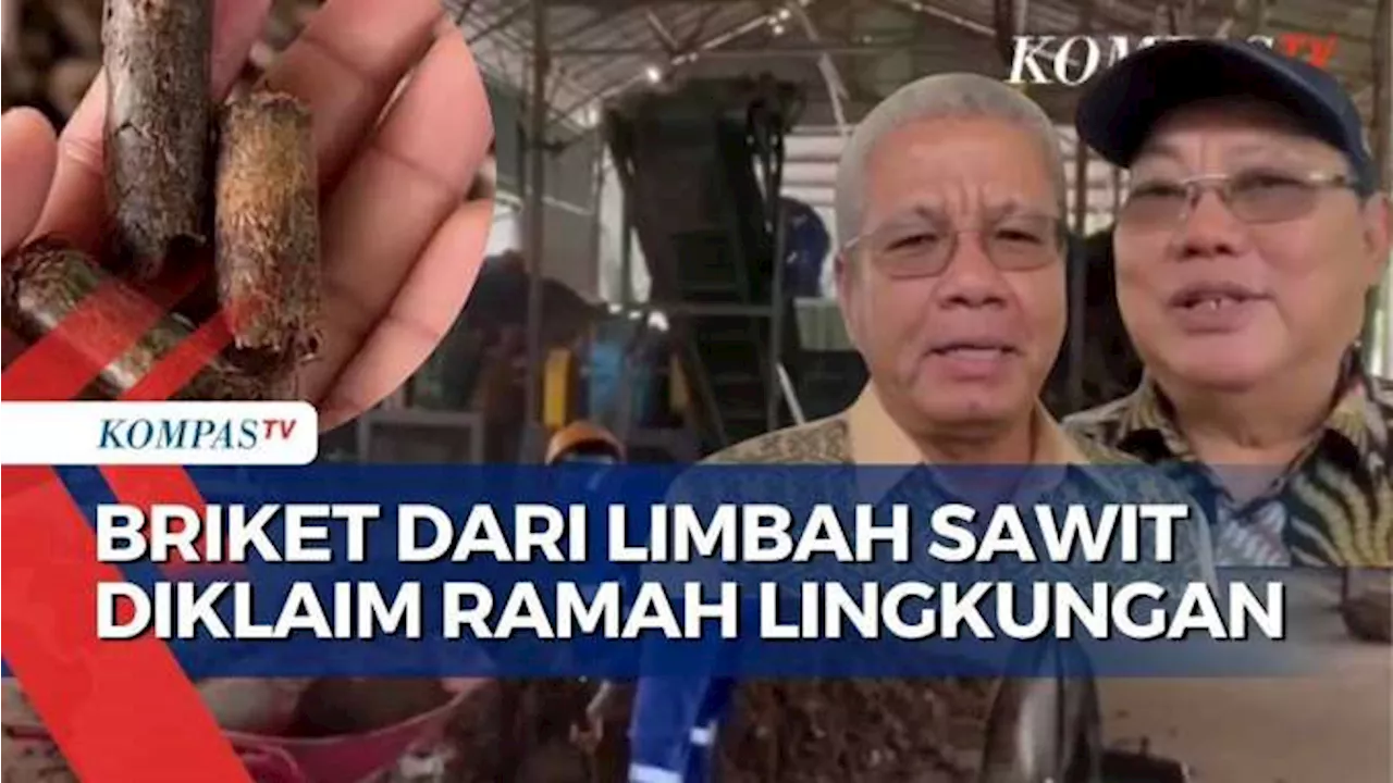 Limbah Sawit Diubah Jadi Briket, Bahan Bakar Alternatif Terbarukan Ramah Lingkungan