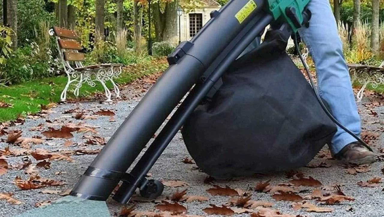 Aspirateur souffleur : le nettoyage de votre jardin simplifié avec cette ultime offre du Black Friday