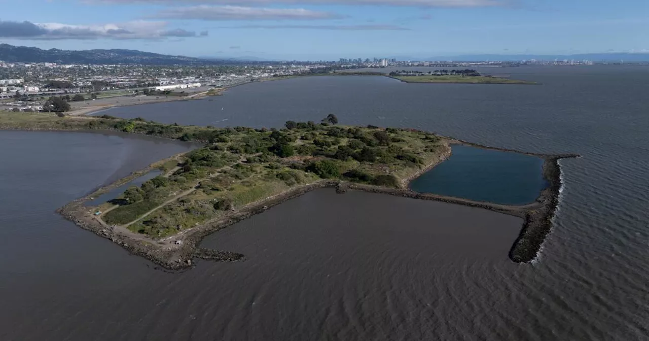 Elevated radiation detected at former Bay Area landfill turned art park