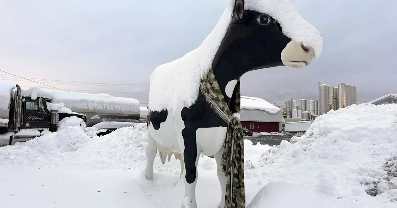 Severe Winter Storm Paralyzes Parts of United States as Thanksgiving Weekend Ends