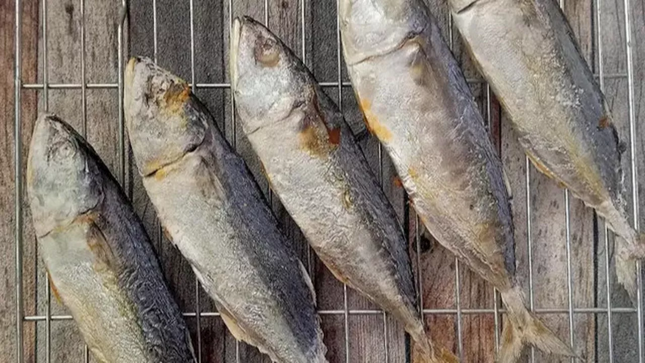 Cara Mengolah Ikan Peda agar Tidak Terlalu Asin dan Tetap Nikmat