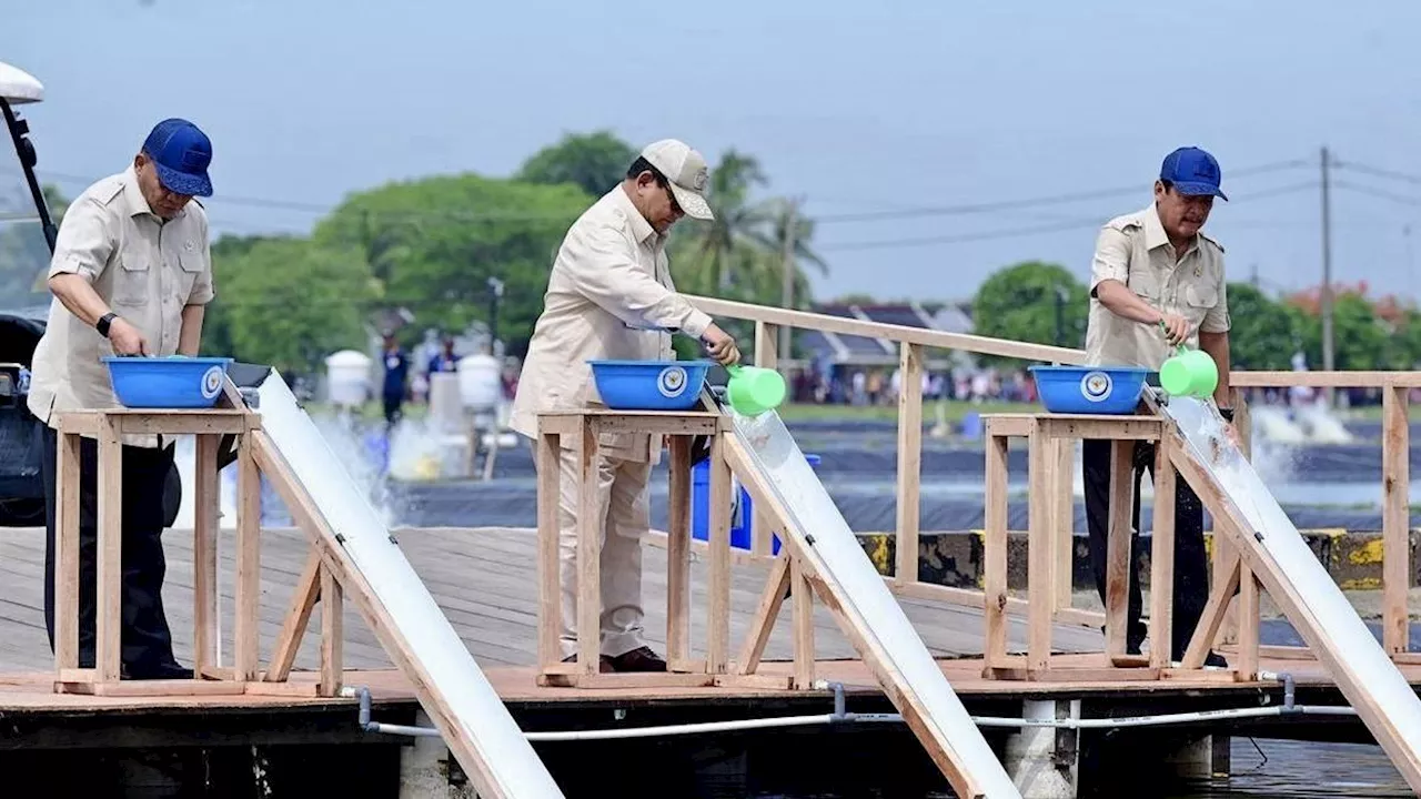 Prabowo Cek Proses Budi Daya Ikan Nila di Karawang untuk Dukung Program Makan Bergizi Gratis