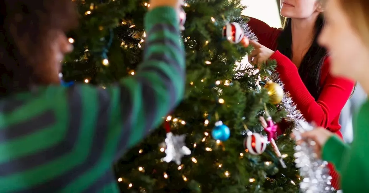 Woman's clever hack makes Christmas trees look full and fluffy