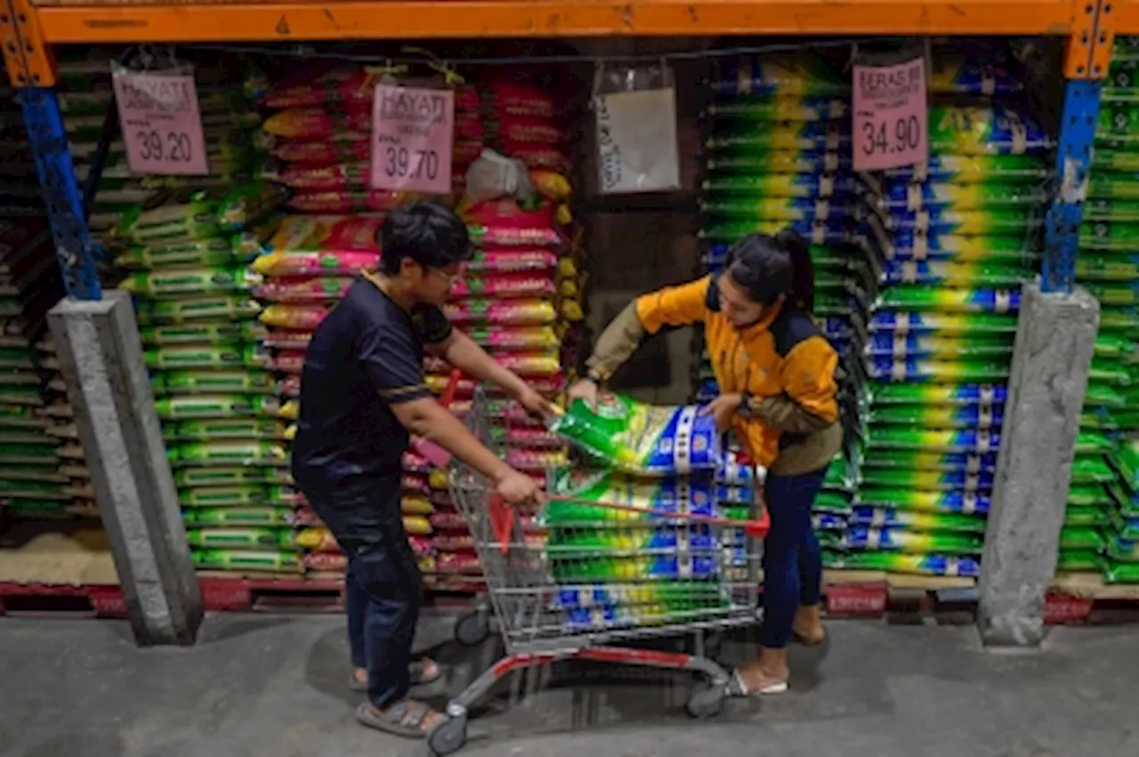 Minister: Flood-hit padi farmers to get aid as rice prices drop to address shortage