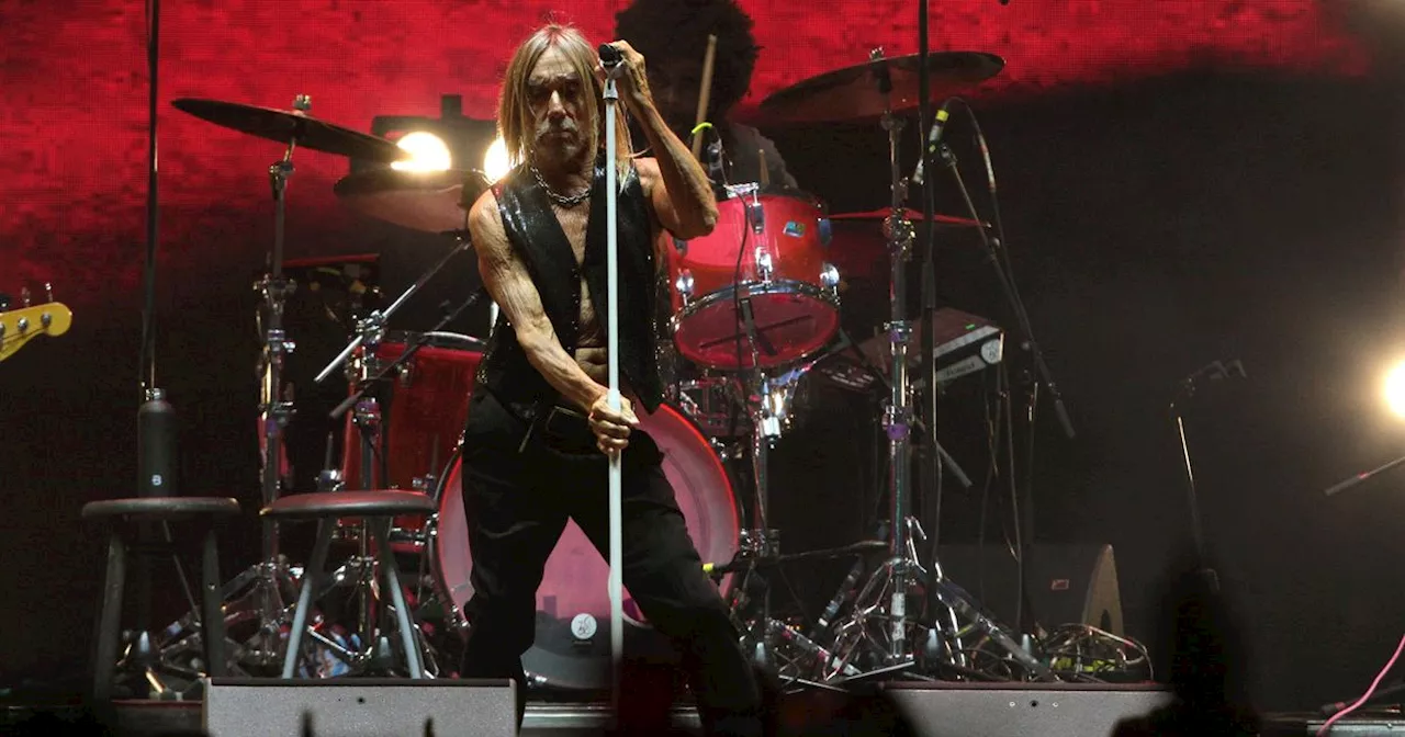 Iggy Pop announces first Manchester show in years - how to get tickets