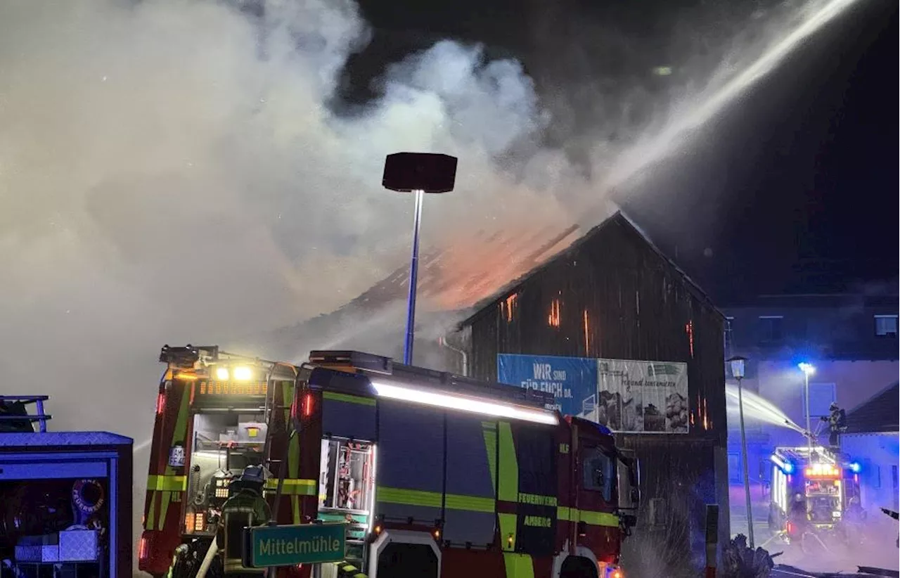 60 Rinder sterben bei Stallbrand in Hirschau – Feuerwehr mehrere Stunden im Einsatz